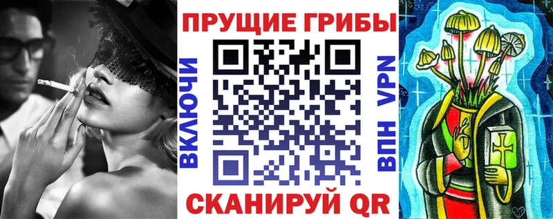 Купить где Тимашёвск Галлюциногенные грибы GOLDEN TEACHER