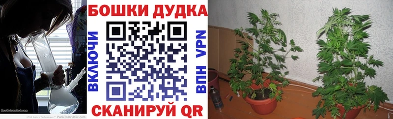 Канабис Ganja  Купить где  Тимашёвск 